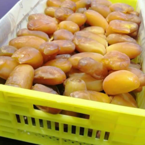Desert Pearl Premium Dates